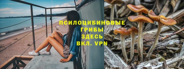 бошки Володарск