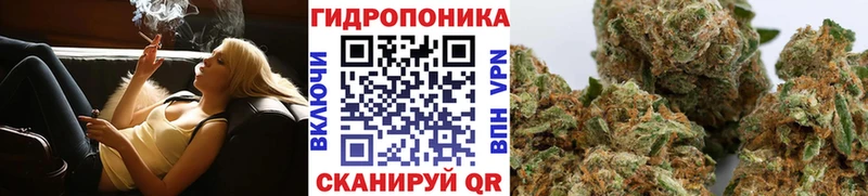 Марихуана OG Kush Приволжский